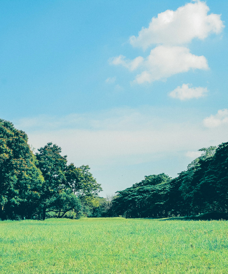 AdobeStock_292792210 2