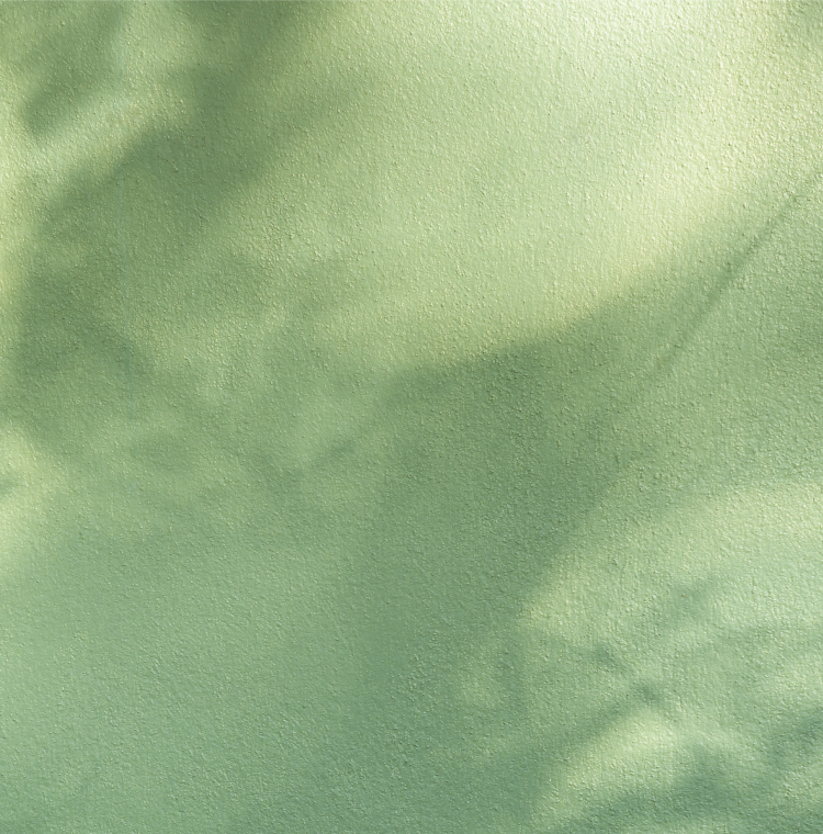 AdobeStock_684236104 1