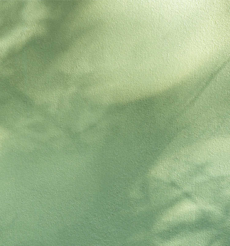 AdobeStock_684236104 1
